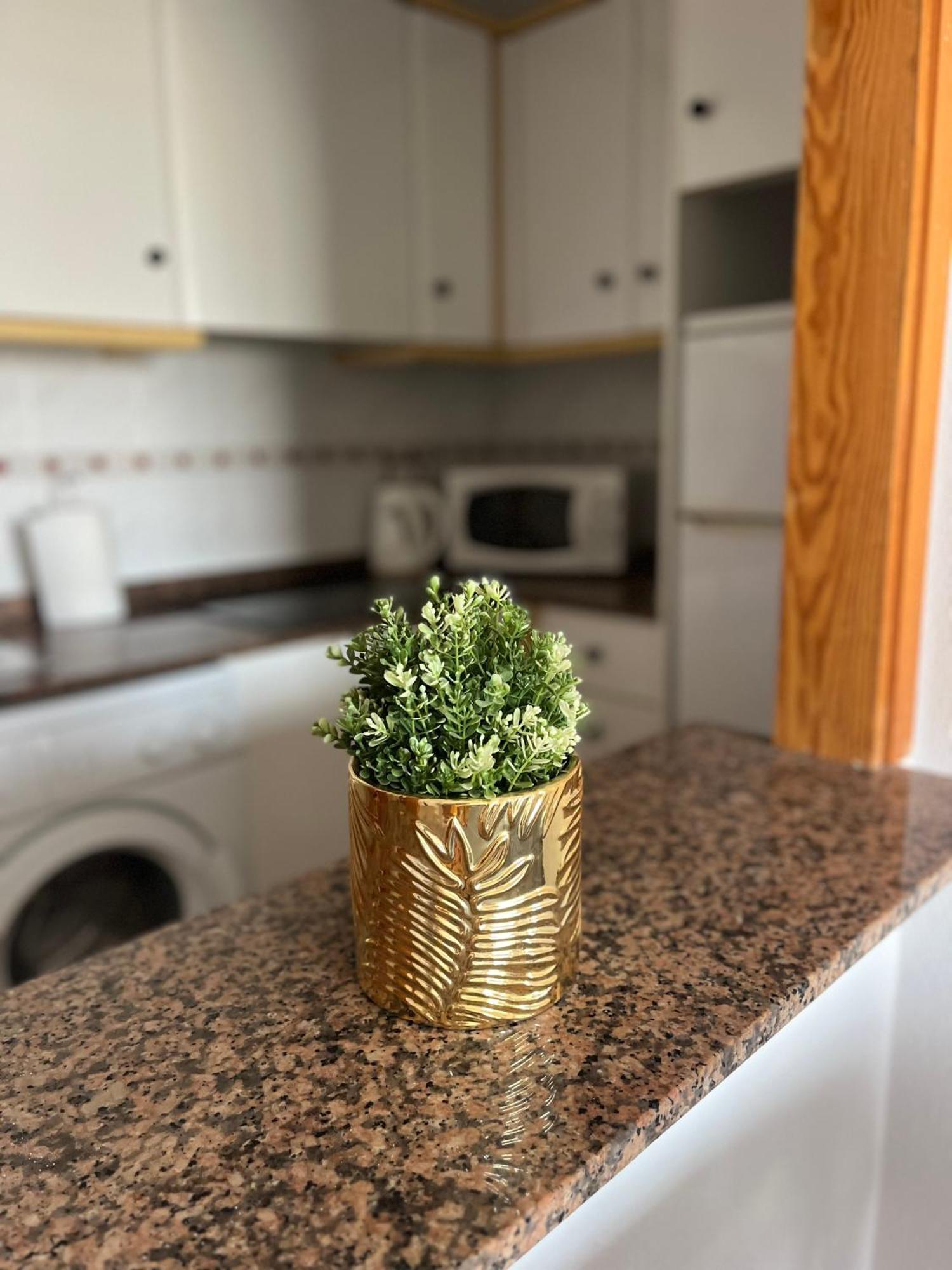 Sea Viev La Mata Apartment Торевиеха Екстериор снимка
