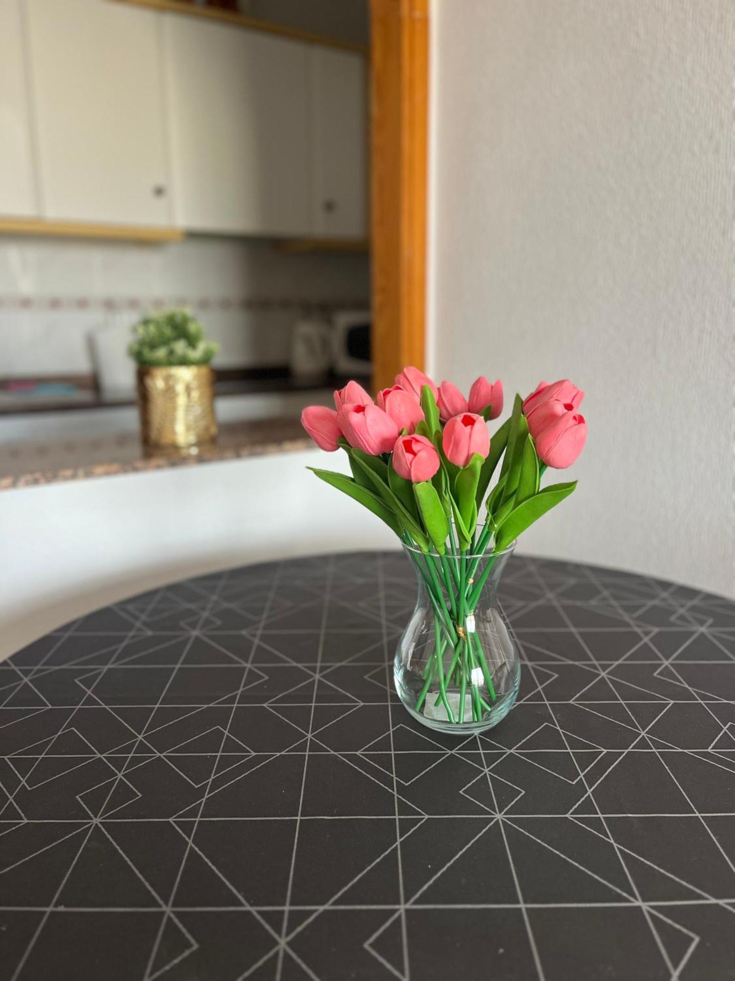 Sea Viev La Mata Apartment Торевиеха Екстериор снимка